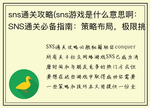 sns通关攻略(sns游戏是什么意思啊：SNS通关必备指南：策略布局，极限挑战)