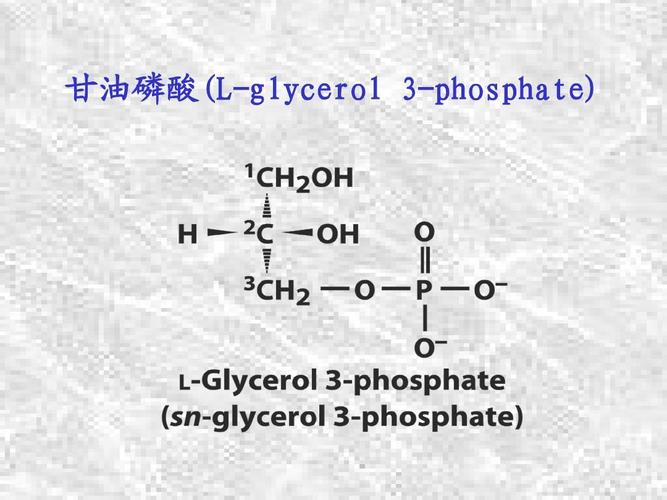 磷酸盐与甘油的作用