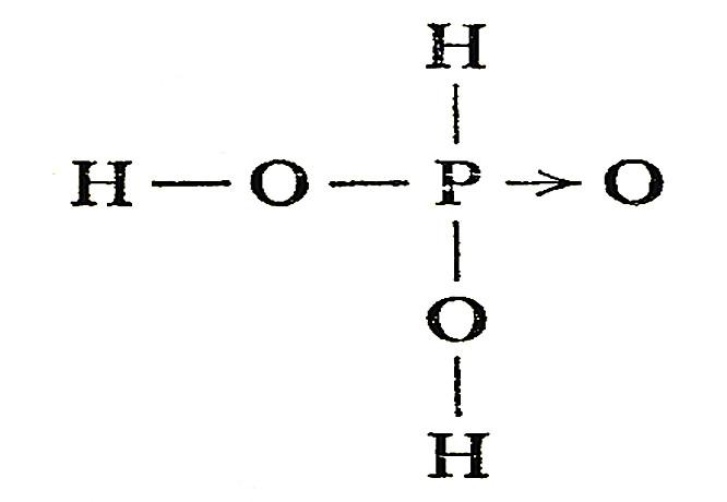 亚磷酸盐正磷酸盐（亚磷酸盐正磷酸盐的区别）